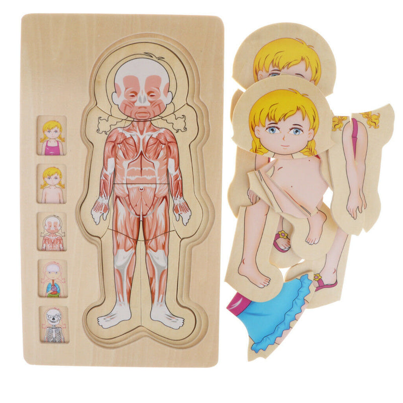 5-Layer Wooden Girl Body Puzzle, Help Your Girl Learn His Own Body Structure