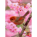 5D DIY Full Drill Diamond Painting Bird Embroidery Mosaic Craft Kits (w609)