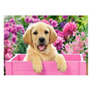 DIY 5D Diamond Embroidery Painting Cute Dog Cross Stitch Craft Home Decor