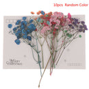 10pcs/Set Mini Gypsophila Cute Dried Flower Wedding Decoration DIY Hand acco BX