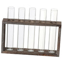 Test Tube Planter Flower Bud Vase with Wood Stand Tabletop Glass Terrarium
