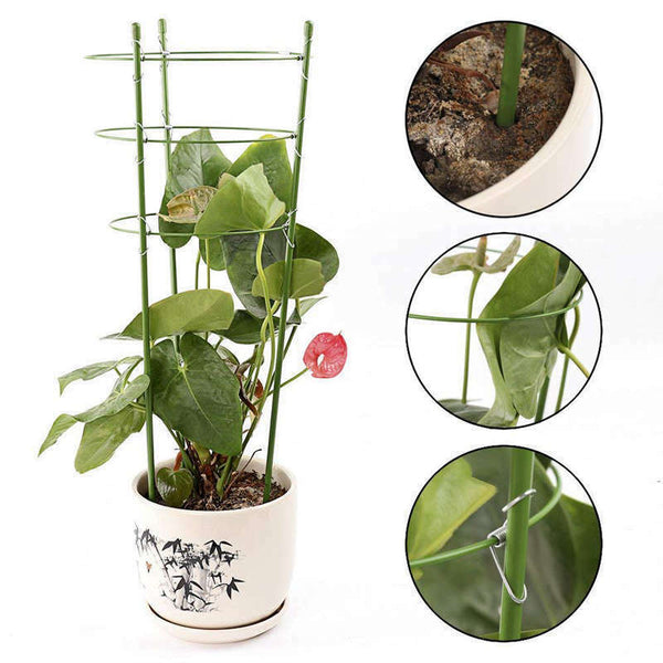 Climbing Plants Support, Garden Trellis Flowers Tomato Cages Stand Set Of 3