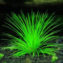 1000pcs Pet Fish Aquarium Grass Seed Mixed  Water Aquatic Plant Seeds Decor ss