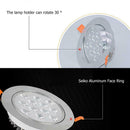12 LED Ceiling Recessed Spotlight 12W Aluminum Living Bedroom Lighting Lamp