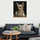 Full Round Diamond Embroidery Chihuahua,5D Diamond Painting,Dog Cute Pet Di