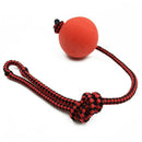 Indestructible Dog Ball on a Rope for Pet Puppy Toys Tug Balls Pet Chew Toys Z