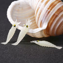 10pcs/bag Luminous Soft Shrimps Fishing Lures Artificial Baits Silica Gel