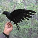 Halloween prop feathers Crow bird large 25x40cm spreading wings Black Crow  H5R8