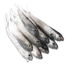 10Pcs 80Mm Soft Fishing Lure Tiddler Swimbait Artificial Bait Tackle Minnow  Z