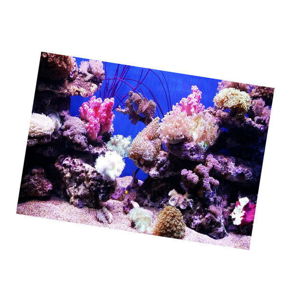 Vivid Aquarium Undersea Background, Non-toxic Adhesive Poster Fish Tank Decor