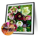 5D Diamond Painting Cross Stitch Mosaic Needlework (WLL1481 Red Flower)
