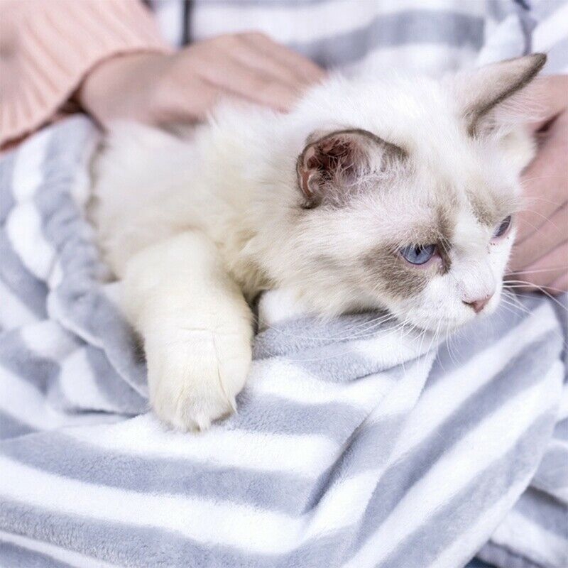 Cat-Carrying Backpack Rabbit Hug Cat Hair Apron Anti-Stick Hair Hug Dog Clo