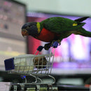 HOT Parrot Bird Toys Supermarket Shopping Cart Intelligence G2A6 Growth Gro X5P6