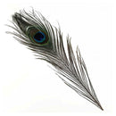 10pcs Beautiful Peacock Feathers 90-100cm for Birthday party Christmas Eas LPK