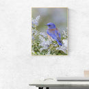 5D DIY Full Drill Diamond Painting Bird Embroidery Mosaic Craft Kits (w606)