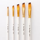 5 Pieces Art Paint Brush Set Flat Angular for Oil, Watercolor, Acrylic, Craft,