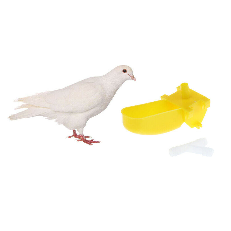 20 Pcs Pet Bird rinker Feeder Waterer for Parrots Budgie Cockatiel Lovebirds