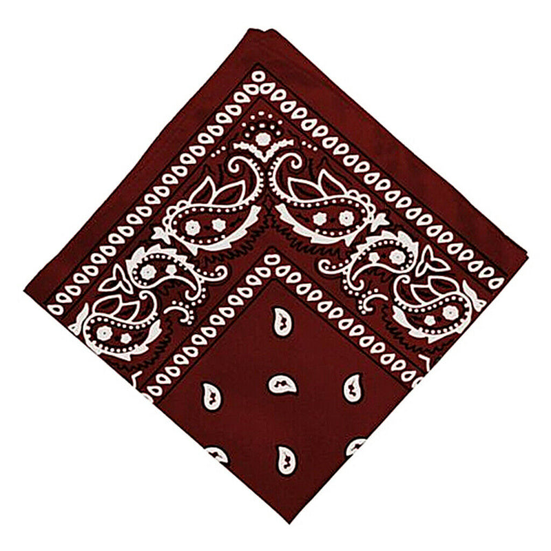 Double Sided Paisley Bandana Scarf Head Wrap Neck Scarf Hair Band Kerchief
