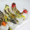 Pack 12Pc Artificial Feather Bird Foam Birds Home Decor Photo Props Colorful