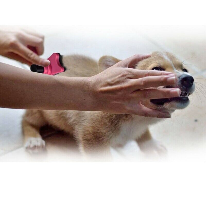Pet Brush Hair Fur Shedding Trimmer Grooming Rake Comb Brush Tools-Pink