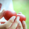 20pcs Shaker Eggs Plastic Musical Egg Shaker with 4 Colors Kids Maracas Egg