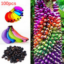 100pcs Rainbow Banana Seeds Delicious Bonsai Fruit Plants Home Garden Decor LJ