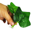 2 Pack Betta Fish Leaf Pad - Improves Betta'S Health By Simulating The Natu R8L8