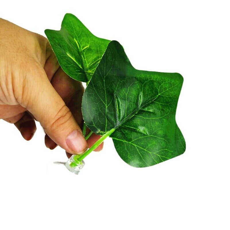 2 Pack Betta Fish Leaf Pad - Improves Betta'S Health By Simulating The Natu R8L8