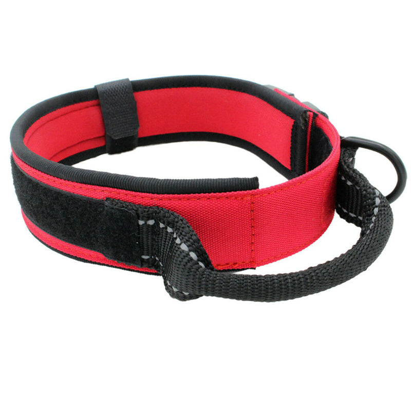 Dog Collar, Feed a Dog Durable Oxford Puppy and Dog Collar with D Ring