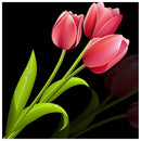 5D Full Round Drill Diamond Painting DIY Pink Tulip Wall Rhinestone Picture