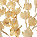 30X Dried Flowers Real Rose Hips for Craft, Wedding Confetti, Floral Art DIY