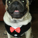 Dog Vest Pet Dog Harness Leash Set for Small Medium Dogs Bow Tie Formal Dre O1R3