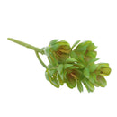 Artificial Succulents Plants Grass Flower Lifelike Home Plants Decor