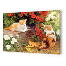 DIY Flower Cats Oil Painting By Numbers Kit Canvas Digital Wall Art Picture