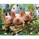 Diamond Embroidery Pig Pattern Picture Of Rhinestone Full Square Diamond Pa
