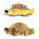 Pet Clothing, Dog or Cat Clothing, Beauty and Beast Clothing, Christmas Rol