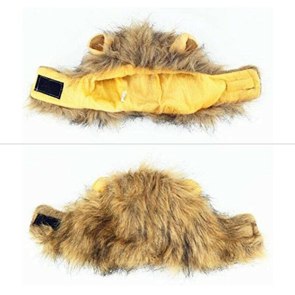 Pet Clothing, Dog or Cat Clothing, Beauty and Beast Clothing, Christmas Rol