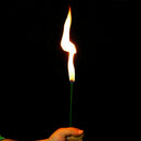Stage Close Up Trick Torch Rose to Fire Tricks  Flame Appearing Flower Tool R0M6