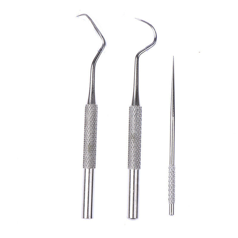 1 Set Stainless Steel Portable Toothpick Tooth Hook Teeth Clean Tool Dental  Hn