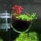 2 pcs Hanging Planter Glass Pot Holder for Aquarium Aquascaping   Tank