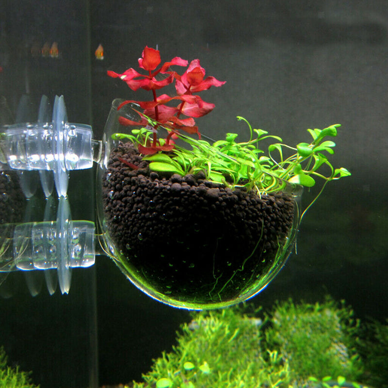 2 pcs Hanging Planter Glass Pot Holder for Aquarium Aquascaping   Tank