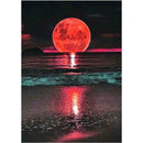 4 Pack Night Moon DIY 5D Diamond Painting Kits Full Drill Cross Stitch Decor