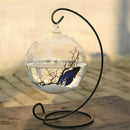 5PC Christmas Bauble Holder Ornaments Hanging Display Stand Hanger Metal L shape