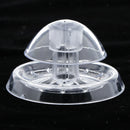 Acrylic Planaria Trap Snail Worm Catching Box Shrimp