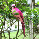 3Pcs Realistic Parrot Artificial Feather Bird Animal Ornament Decor