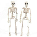 Human Jointed Skeleton Halloween Crazy Skeleton Skeleton Garden Decor Props