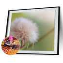 Dandelion DIY 5D Diamond Painting Embroidery Craft Cross Stitch Home Decor