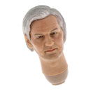 1/6 Scale Realistic Assange Head Sculpt for HT,   , PHICEN, PH, TBLeague Male