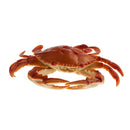 Artificial Lifelike , Decoration For Kitchen Fishing Accessories