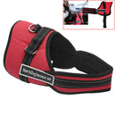 Adjustable Safety Car Seat Belt Sports Walking Pet Dog Chest Harness Set Red M